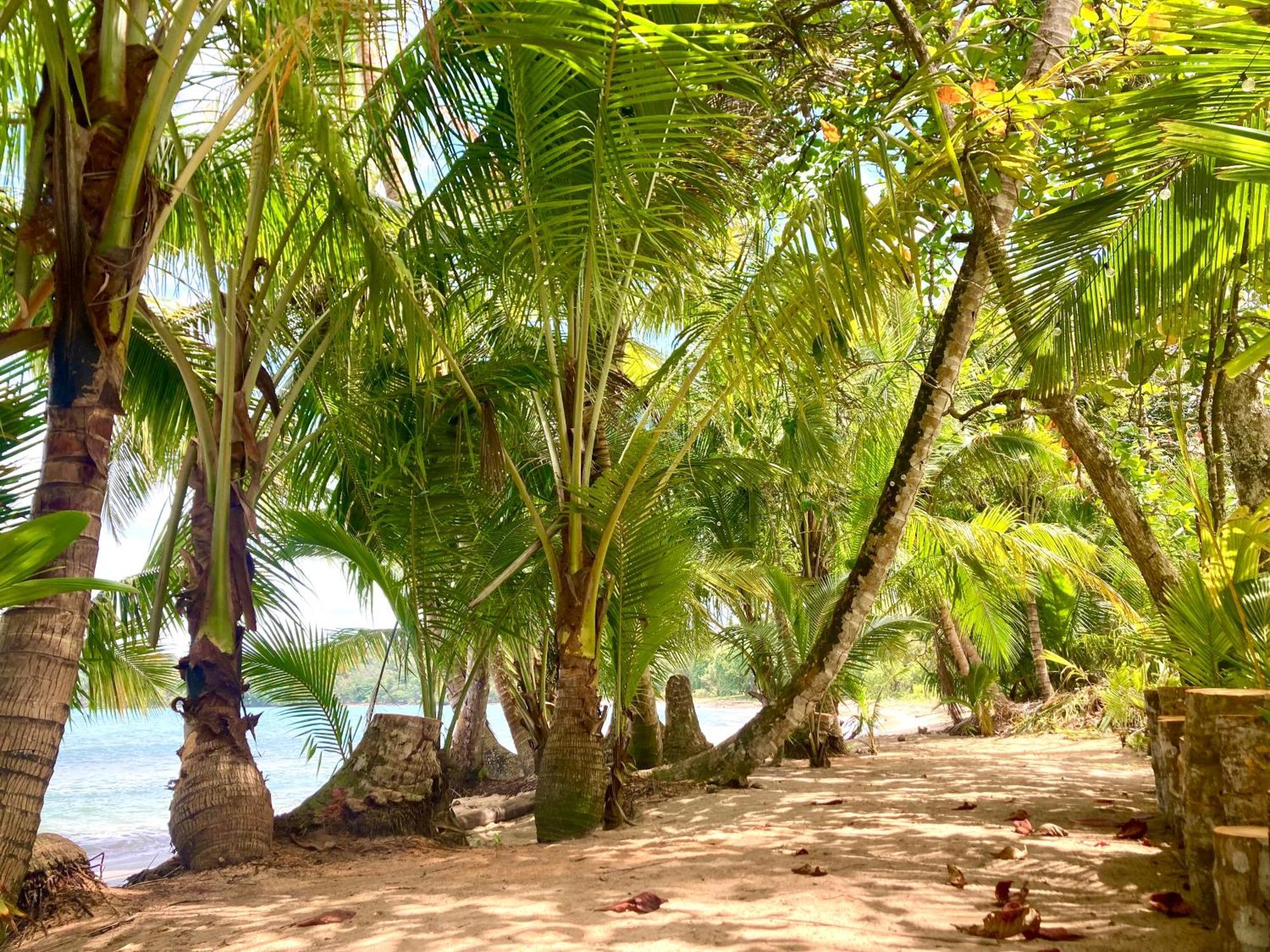 Drago Beach House - Private Beach Бока-дель-Драго Экстерьер фото